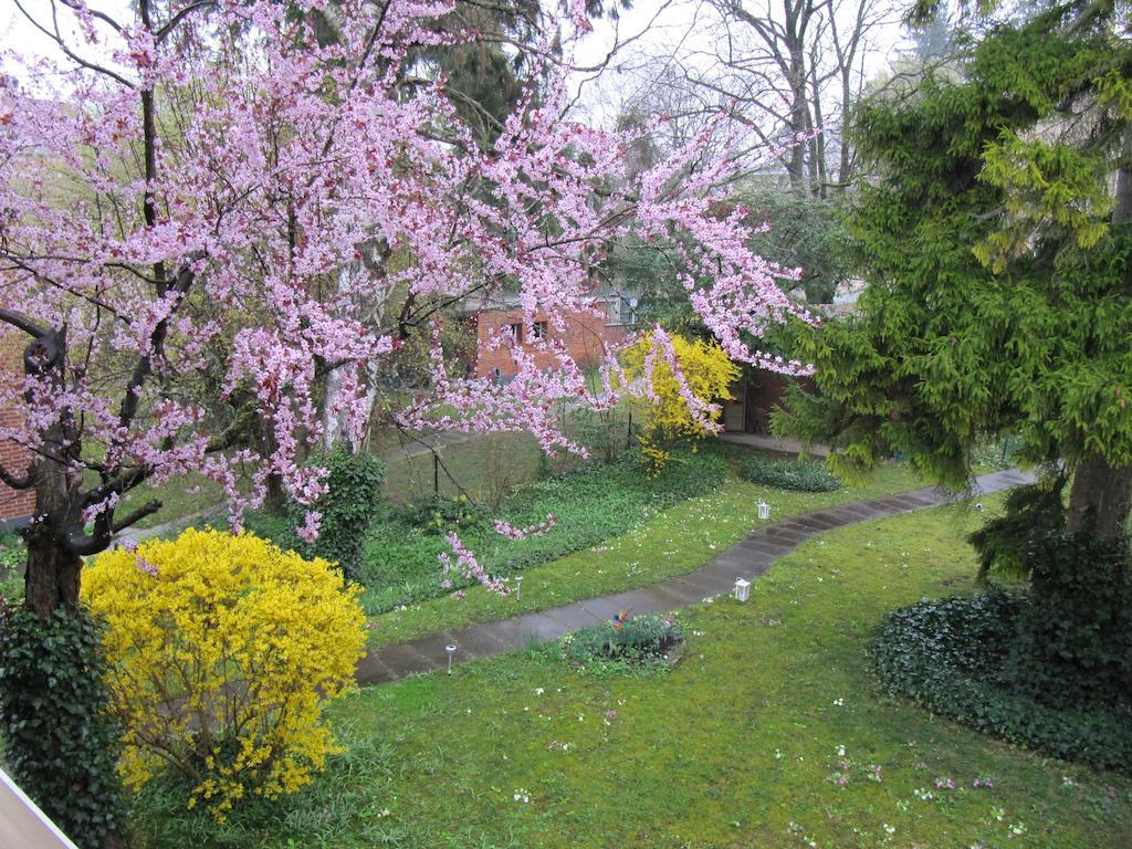 Chez Jean Et Daisy Bed & Breakfast Riehen Eksteriør bilde